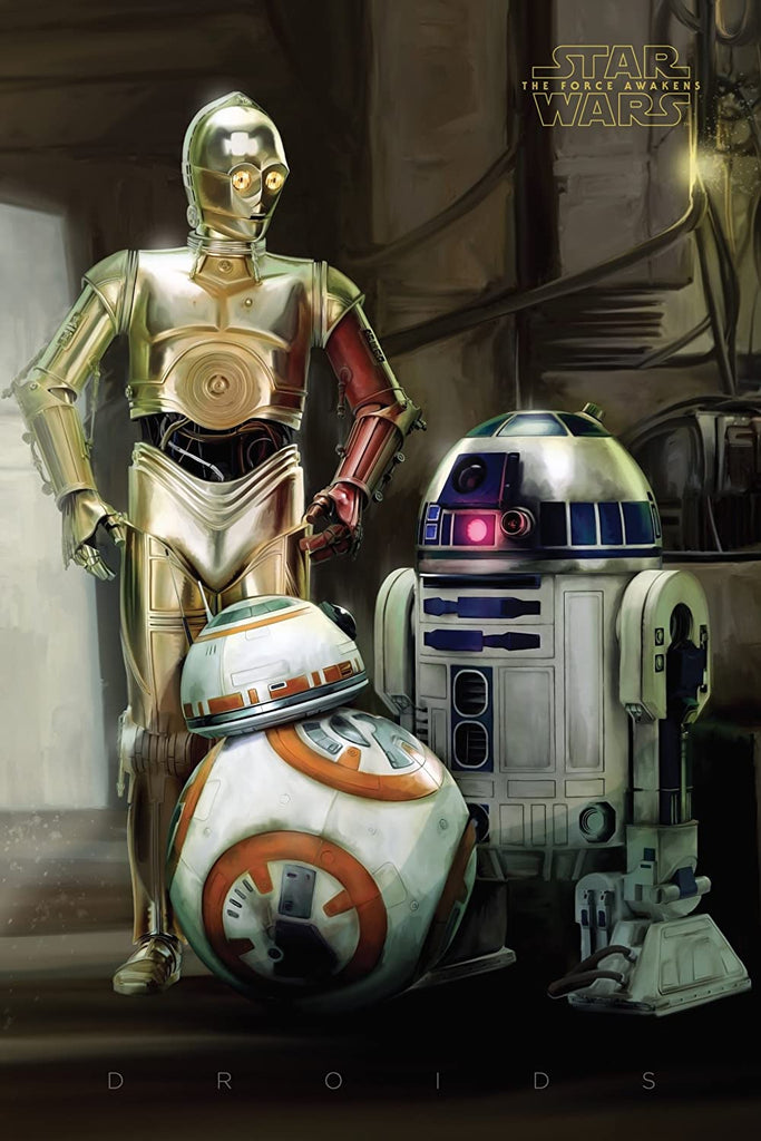 Droids Poster - The Geek In Me