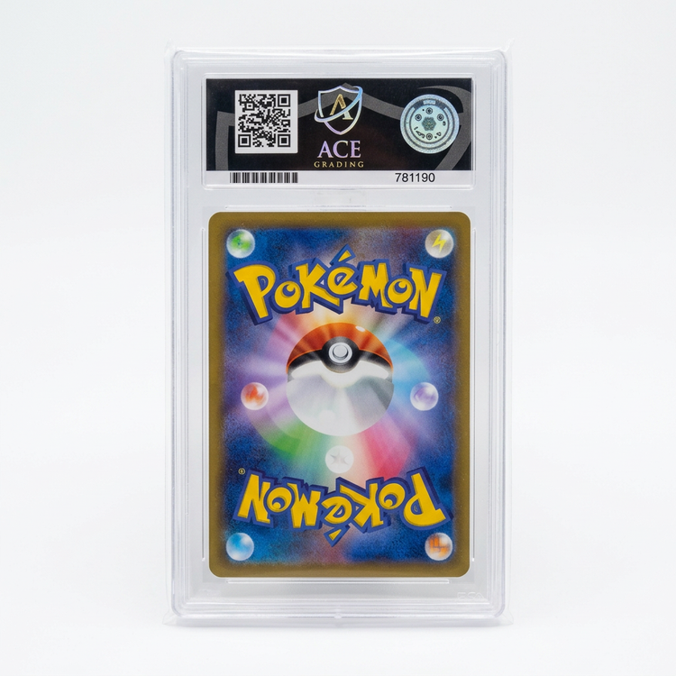 Flygon slab back photo